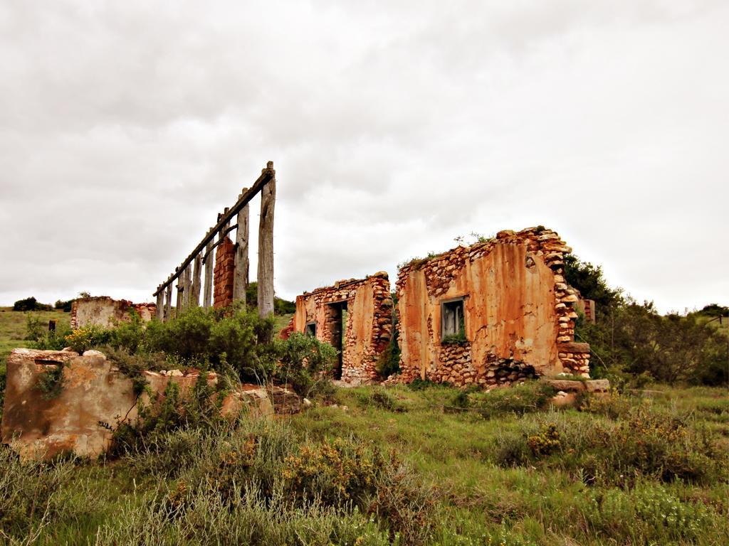 Hlosi Game Lodge - Amakhala Game Reserve Buyskloof Extérieur photo