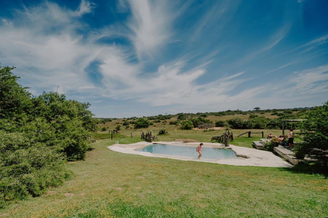 Hlosi Game Lodge - Amakhala Game Reserve Buyskloof Extérieur photo