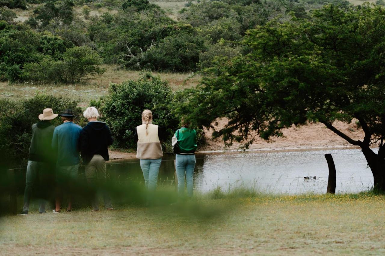 Hlosi Game Lodge - Amakhala Game Reserve Buyskloof Extérieur photo