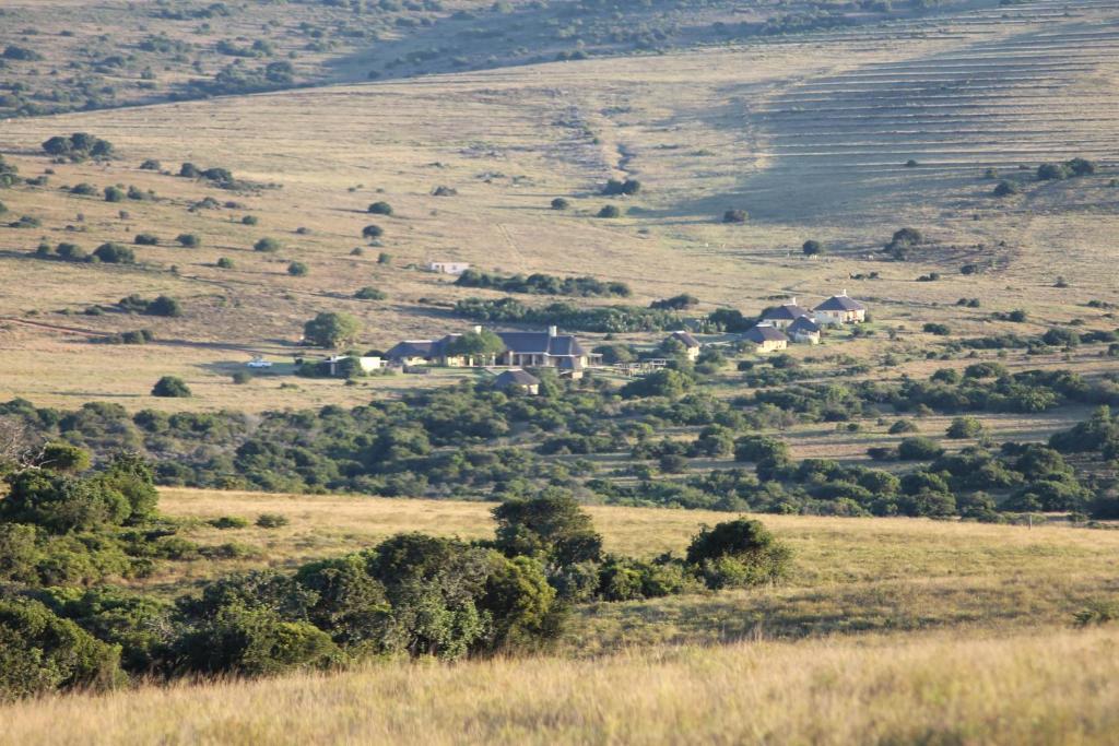 Hlosi Game Lodge - Amakhala Game Reserve Buyskloof Extérieur photo